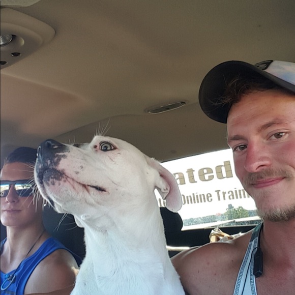 Meet your Posher, Jake - Picture 1 of 1